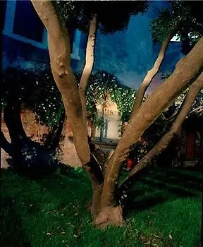 ** Guest house Palazzo Soderini Hotel Venice Italy
